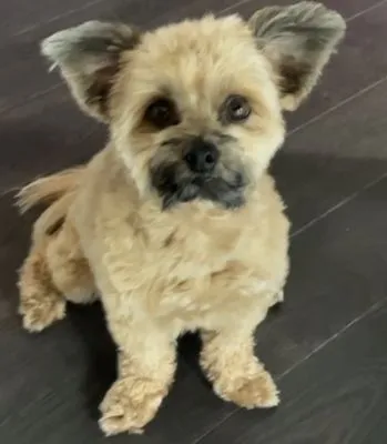 Prime Building Solutions