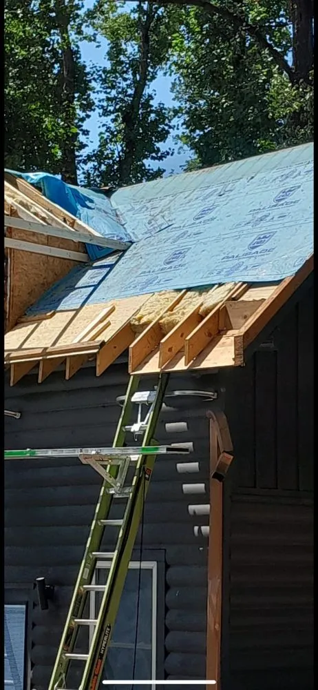 Professional electrical service for homes in electrical repair,  by 