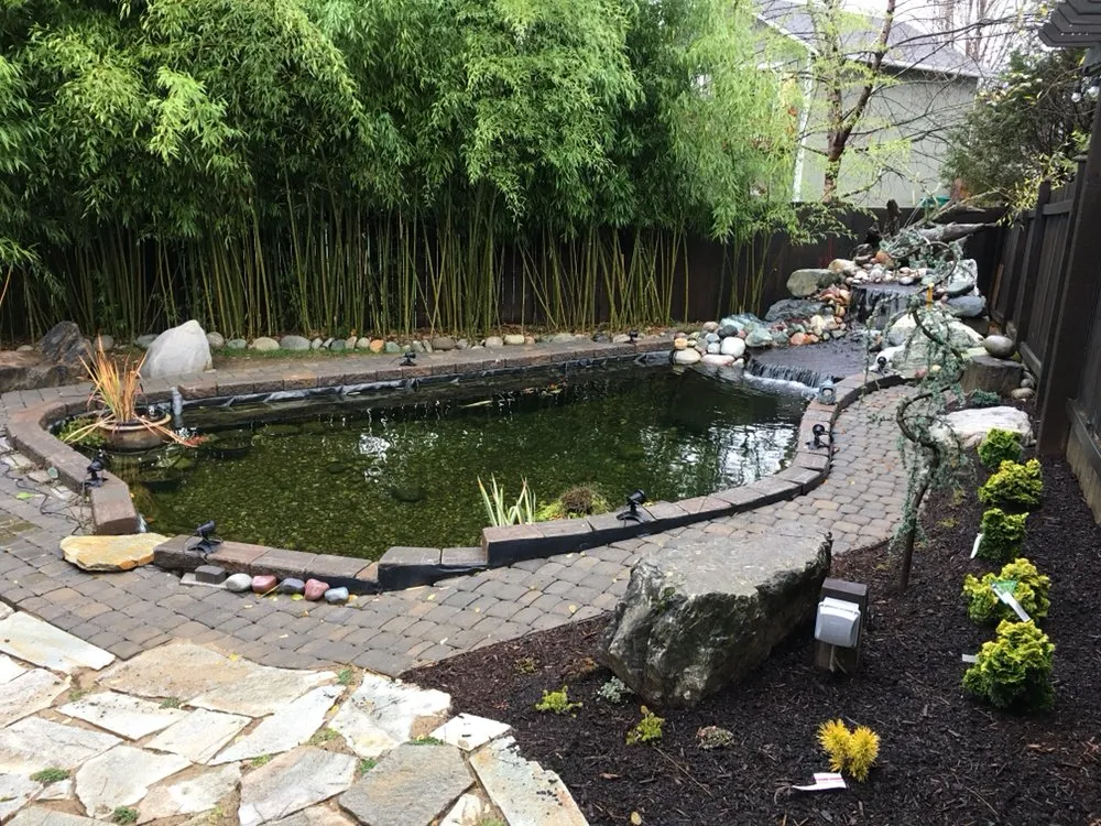 Slide of Prime Time Electric