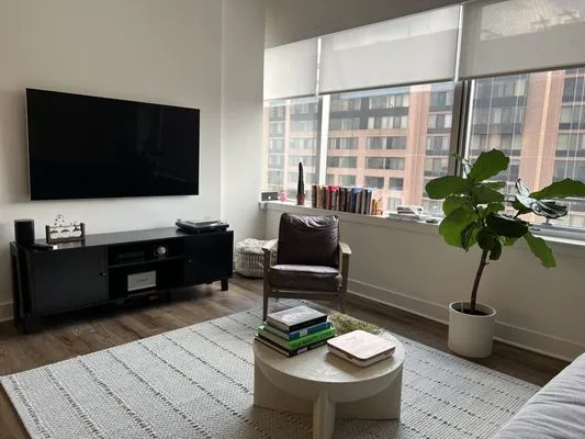 Primo Home Services Logo