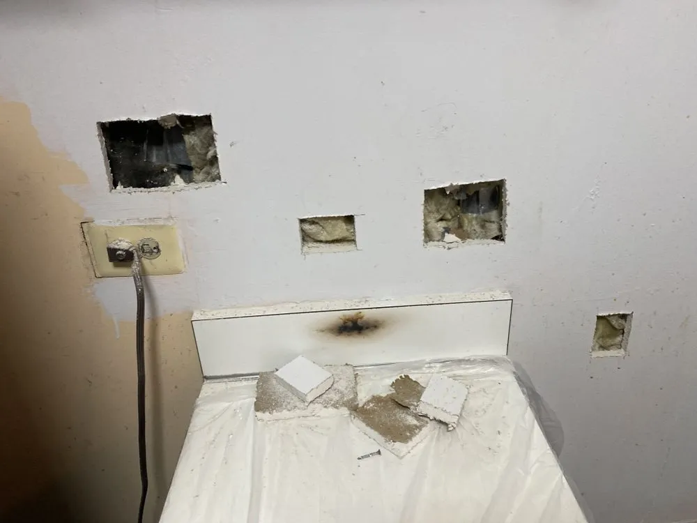 Slide of Princip-AL Electric