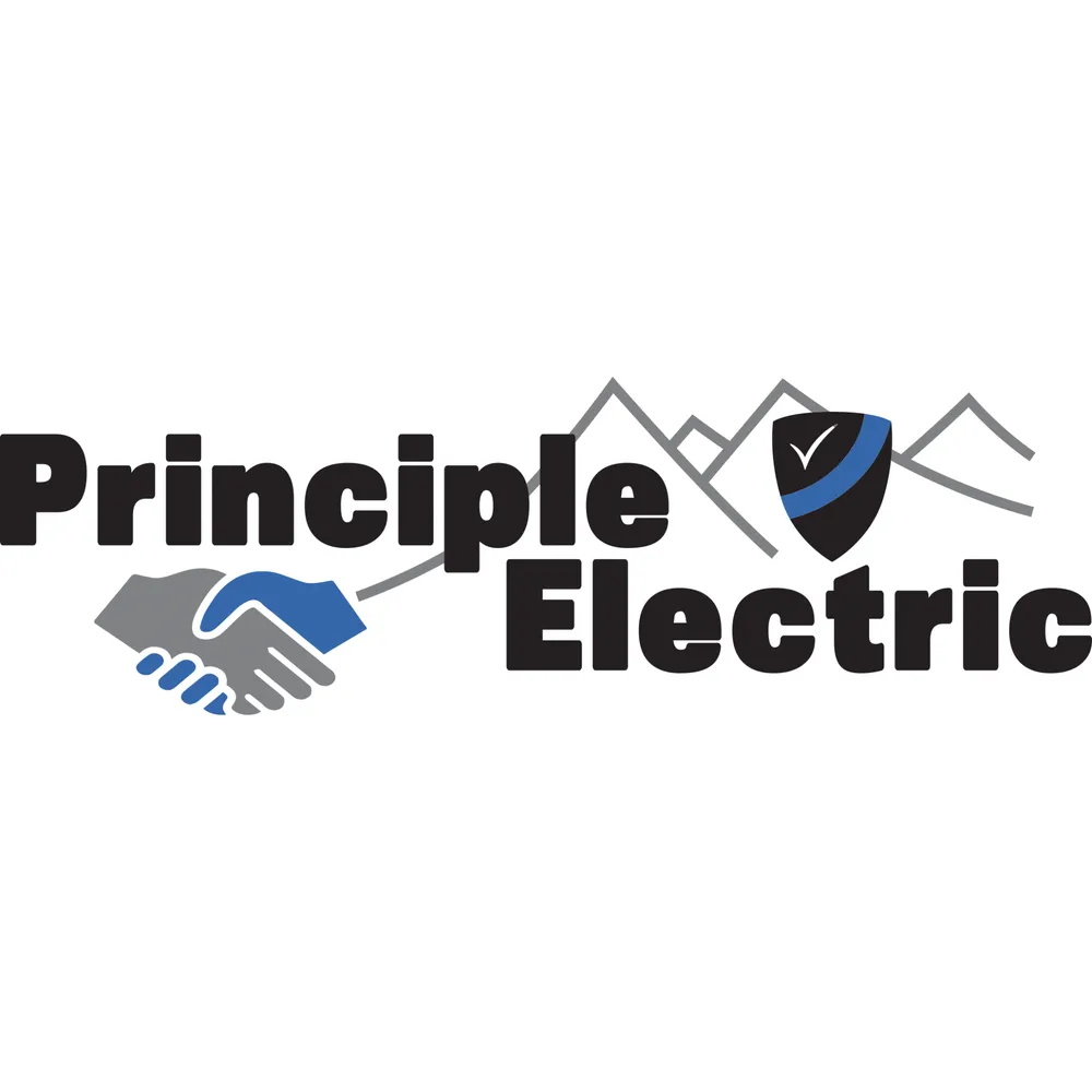 Slide of Principle Electric