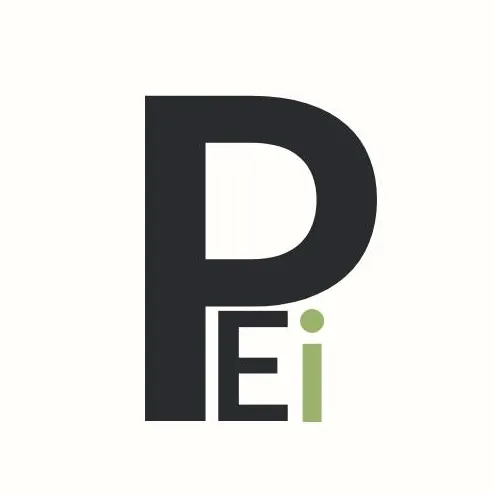 Slide of Pristine Engineers