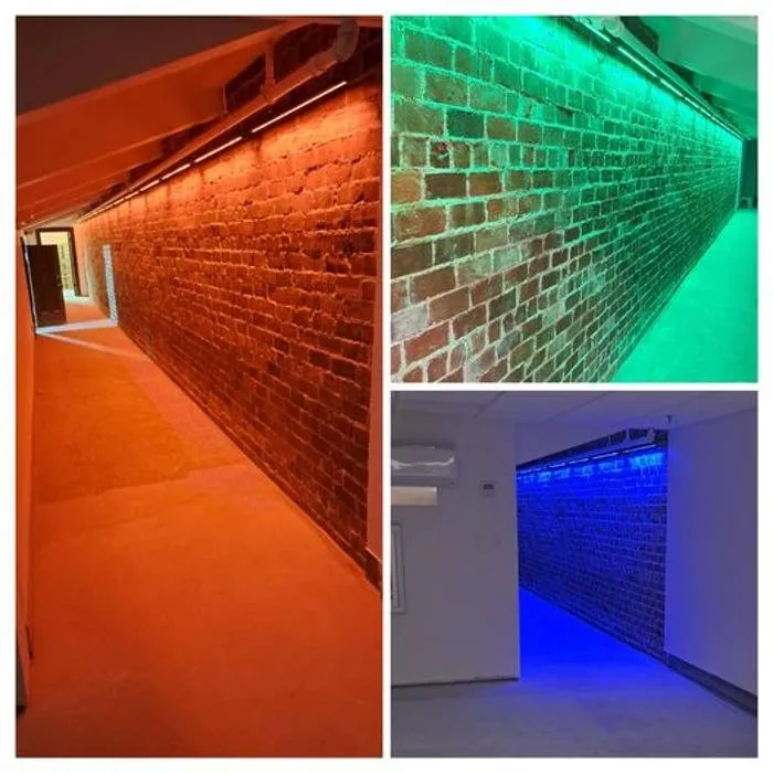 Slide of Pro 1 Electric