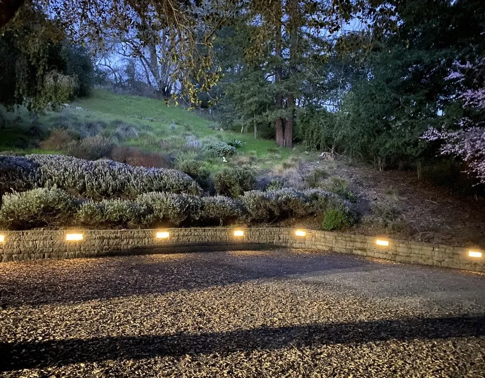 Slide of Pro City Electric