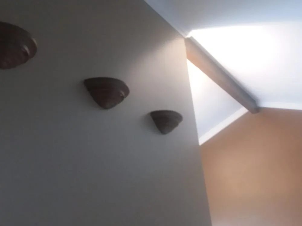 Slide of Pro Handyman House Doctor