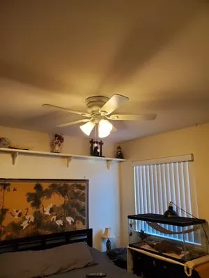 Pro-Line Electric Logo