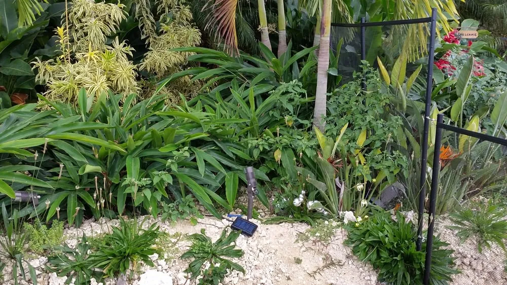 Slide of Pro-Precision Electrical Contracting