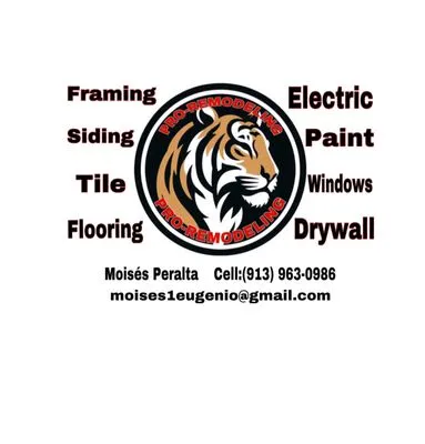 Pro-Remodeling Logo