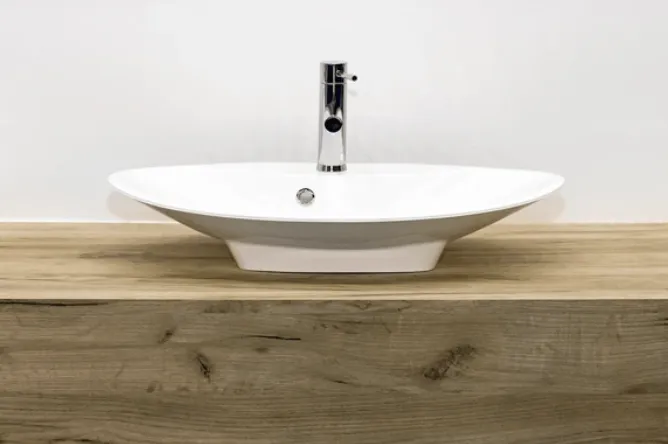 Slide of Pro Shield services