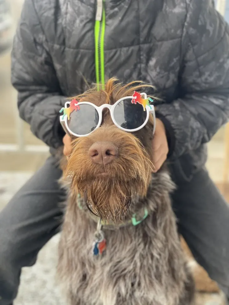 Slide of Problem Solved Electric