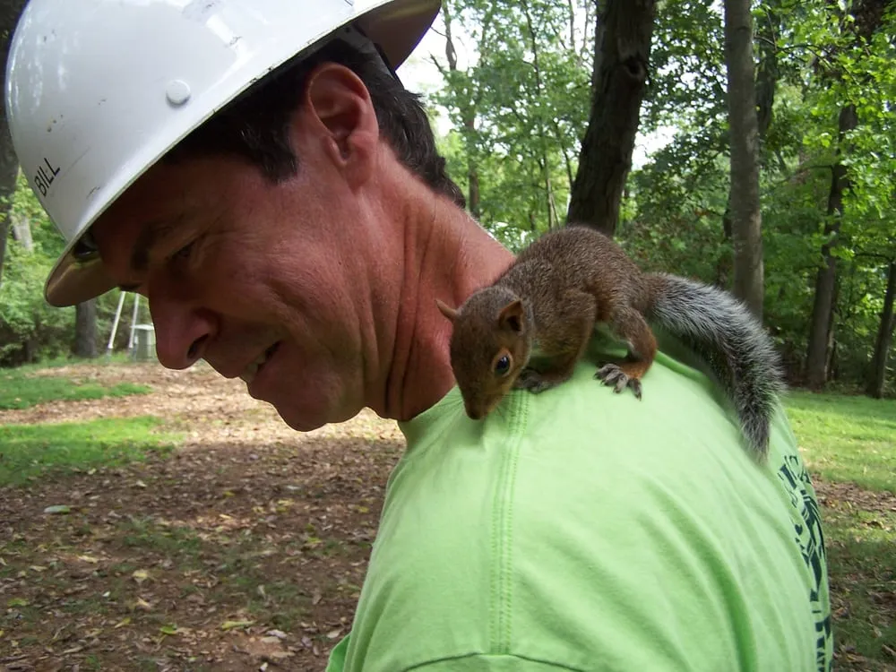 Slide of ProCore Electric