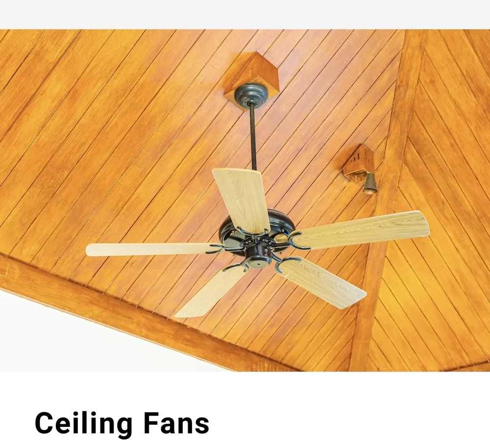 Slide of Prodigy Electric