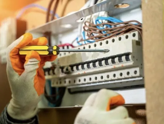 Professional Electric Services