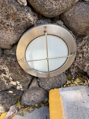 Professional Electric