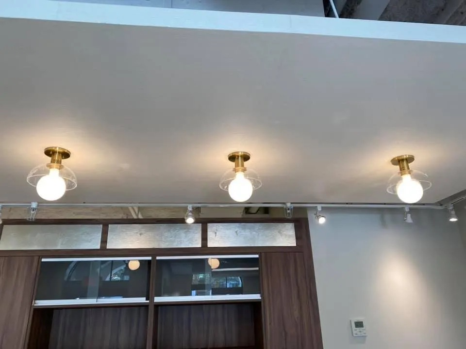 Slide of Professional Electric