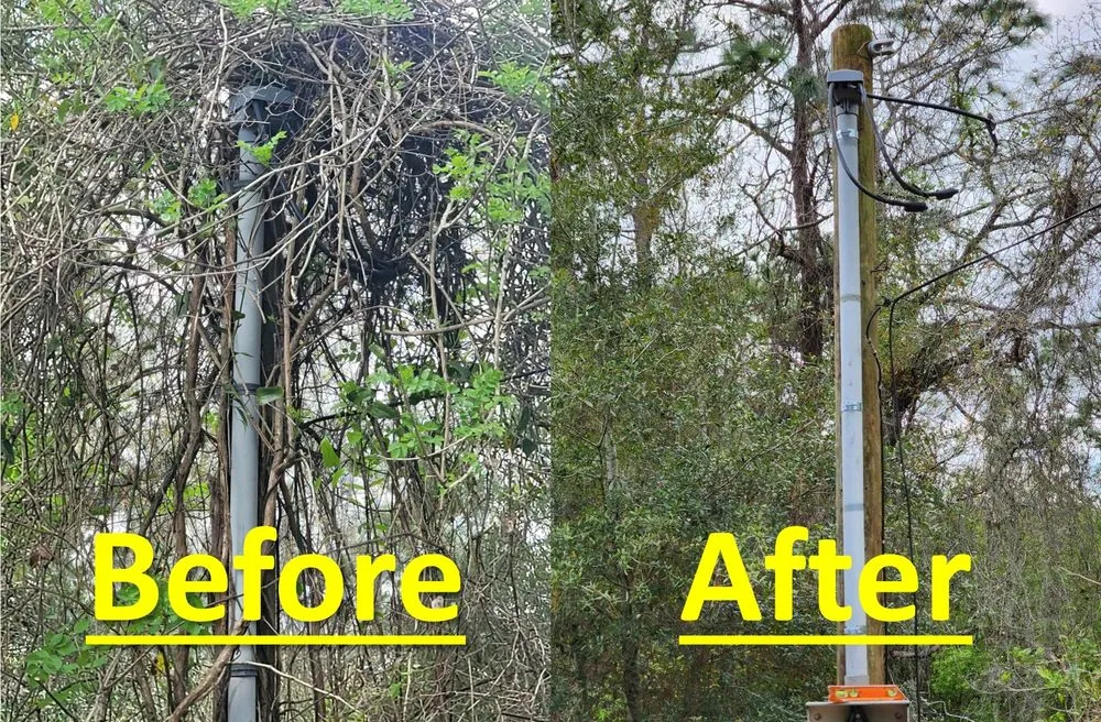 Slide of Professional Electrical