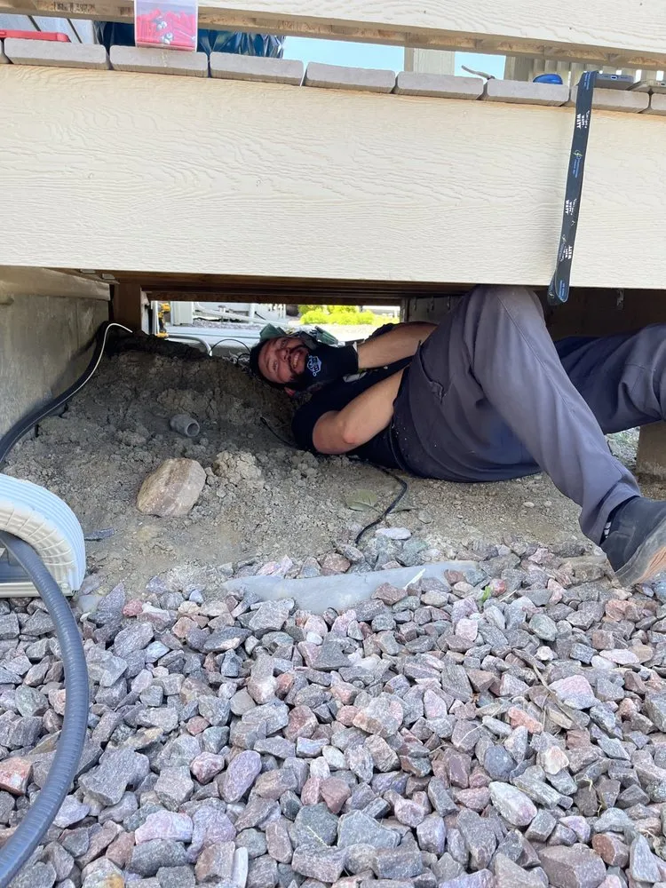 Slide of Professional Power