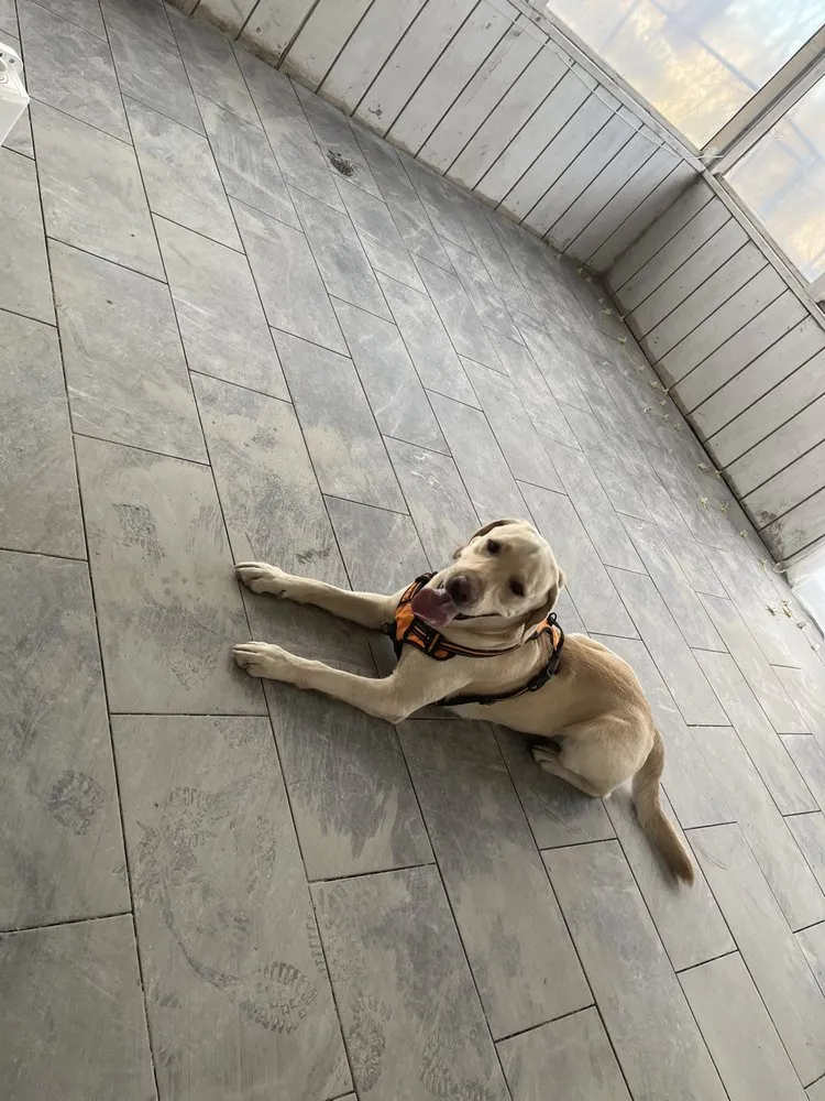 Slide of Professional Services Home Improvements