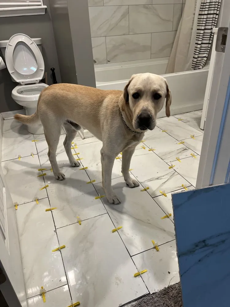 Slide of Professional Services Home Improvements