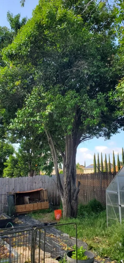 Slide of ProHome Design