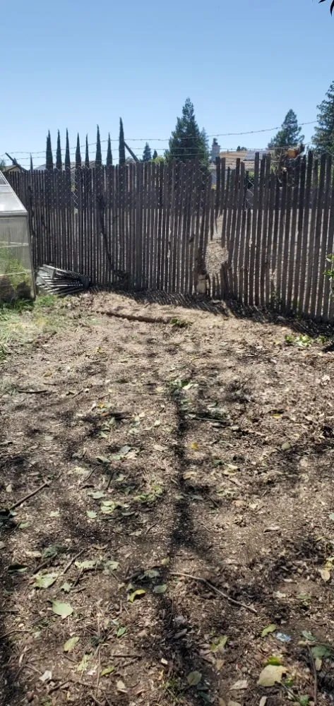 Slide of ProHome Design