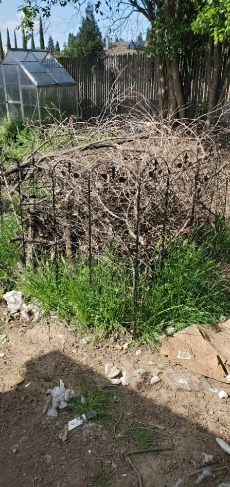 Slide of ProHome Design