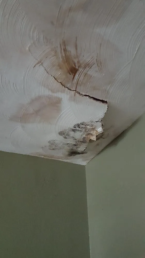 Certified wiring installation experts serving Orlando, FL - Promag Energy Group