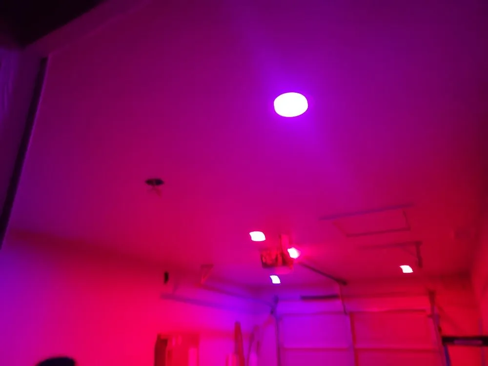 Slide of Proper Electric