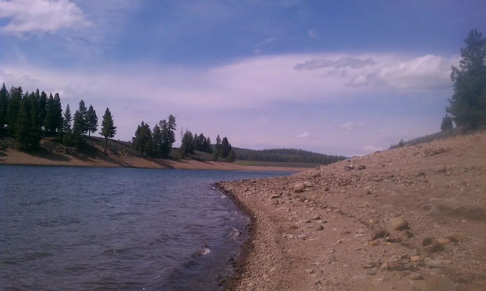 Slide of Prosser Services