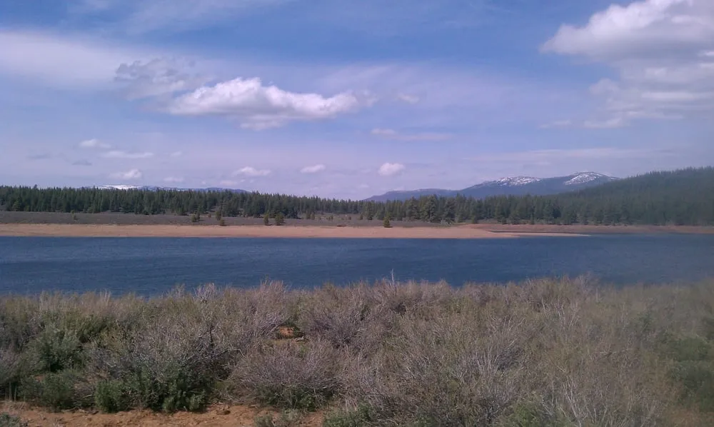 Slide of Prosser Services