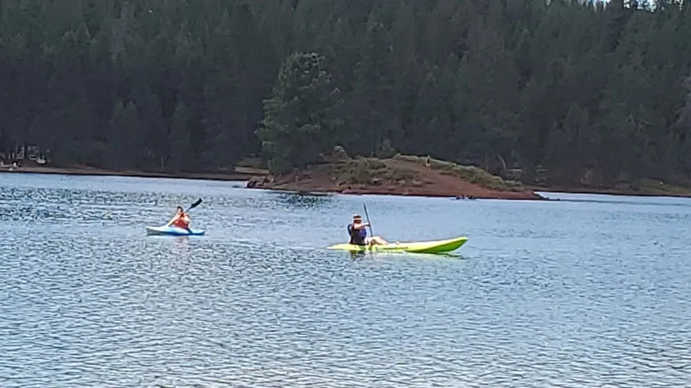 Slide of Prosser Services