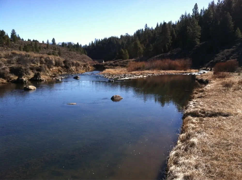 Slide of Prosser Services