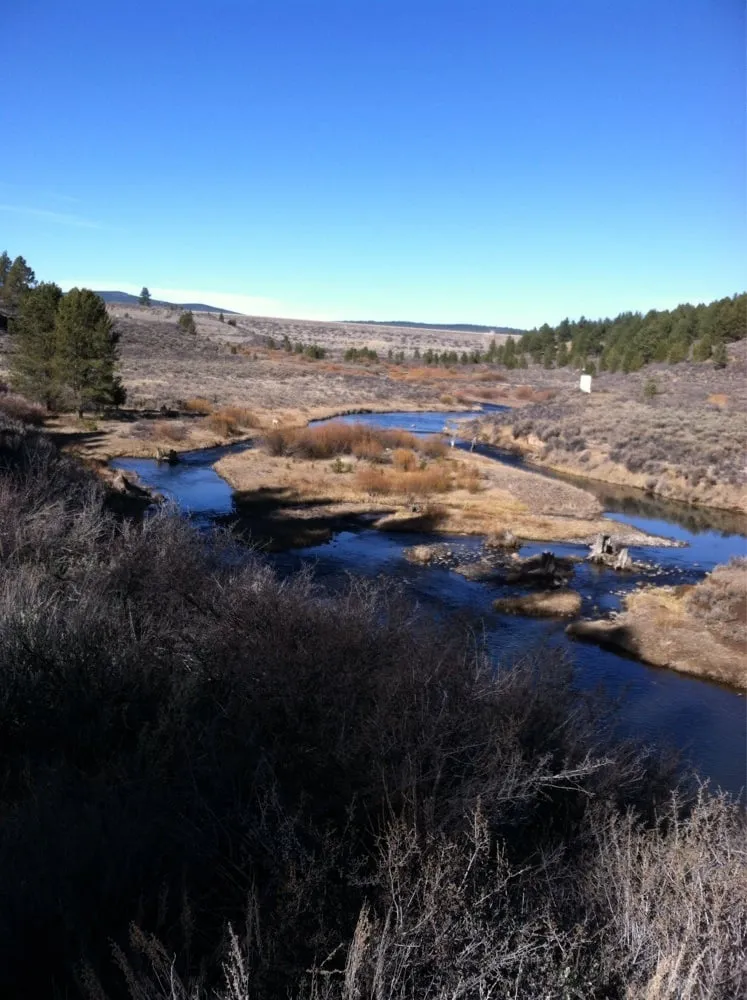 Slide of Prosser Services