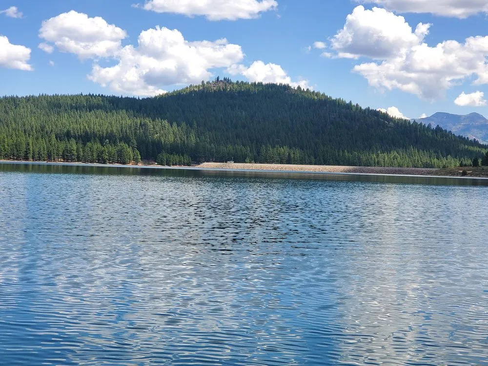 Slide of Prosser Services