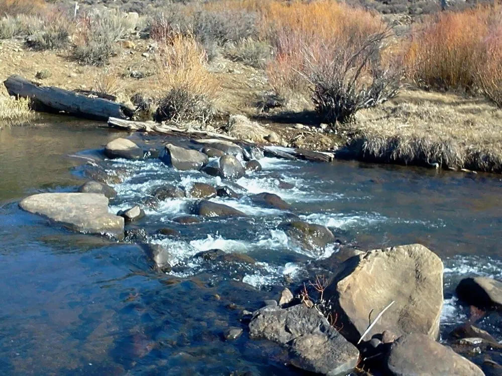 Slide of Prosser Services