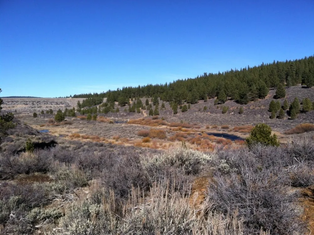 Slide of Prosser Services