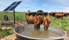 Slide of Protechs Energy