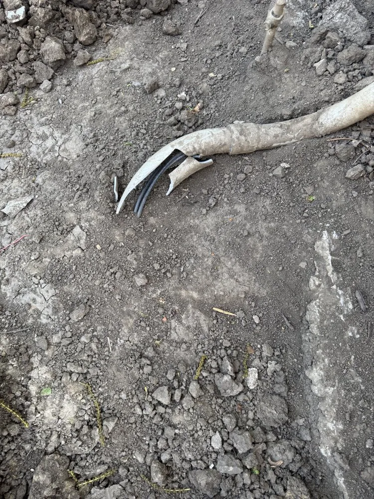 Slide of Proton Electric