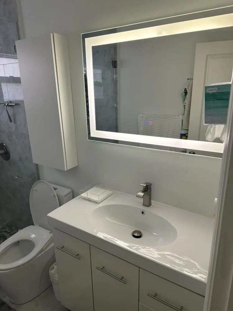 Slide of Proton Max Electric