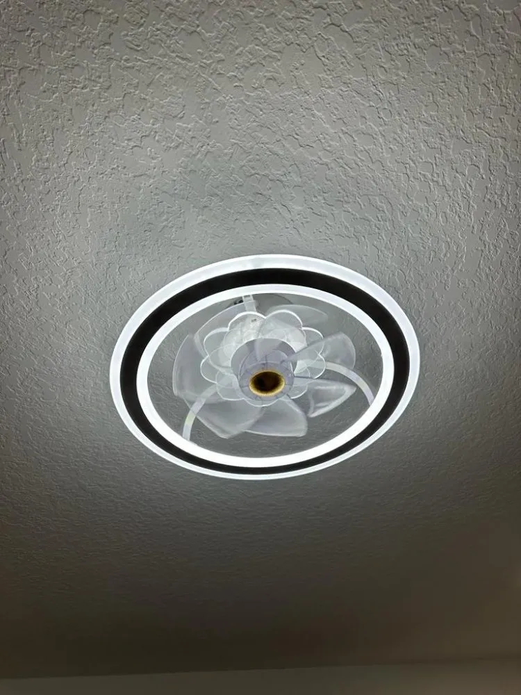 Slide of Proton Max Electric