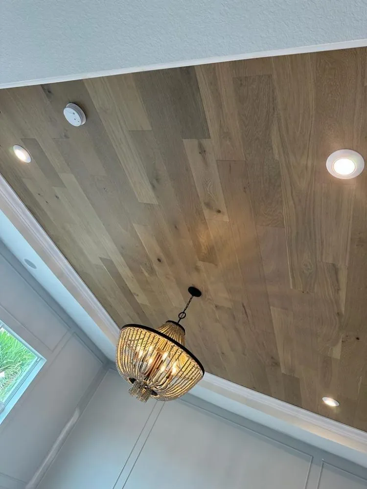 Slide of Proton Max Electric