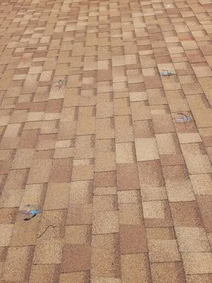 Proud American Electrical & Solar Logo