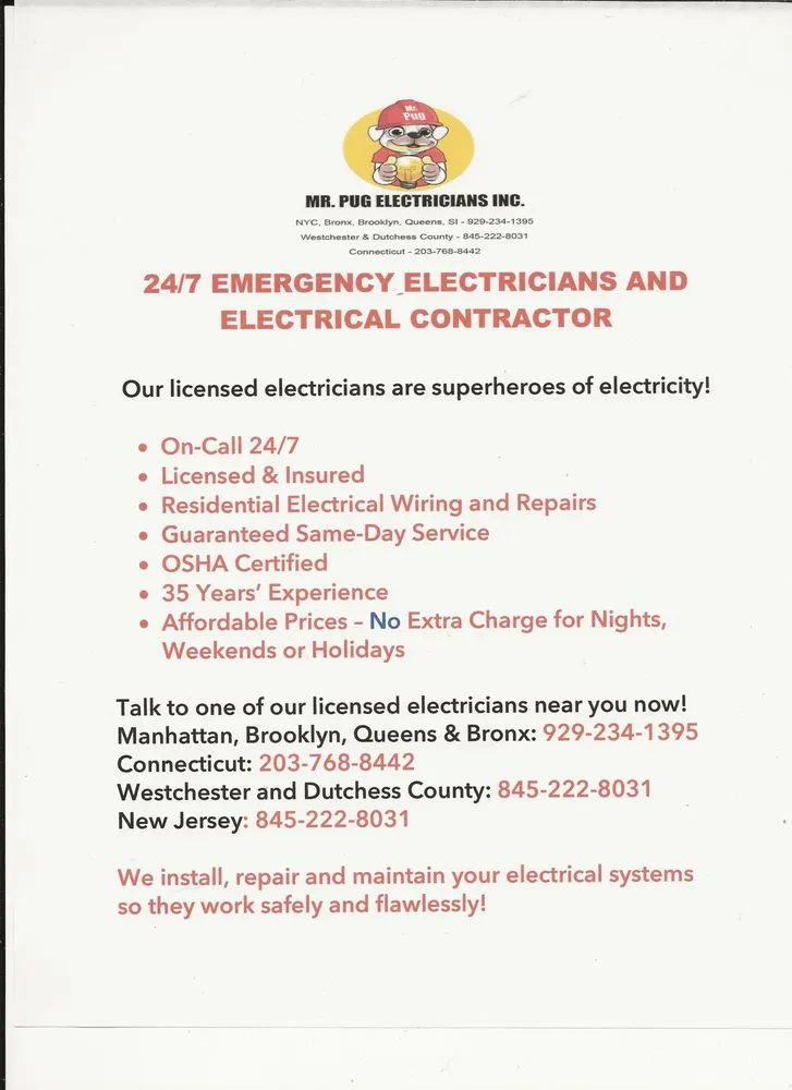 Slide of Pug Electricians