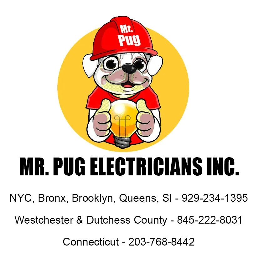 Slide of Pug Electricians