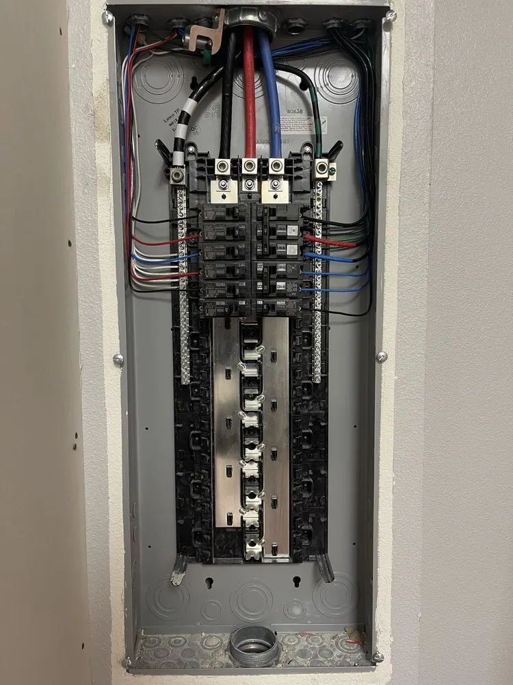 Slide of Puga’s Electric