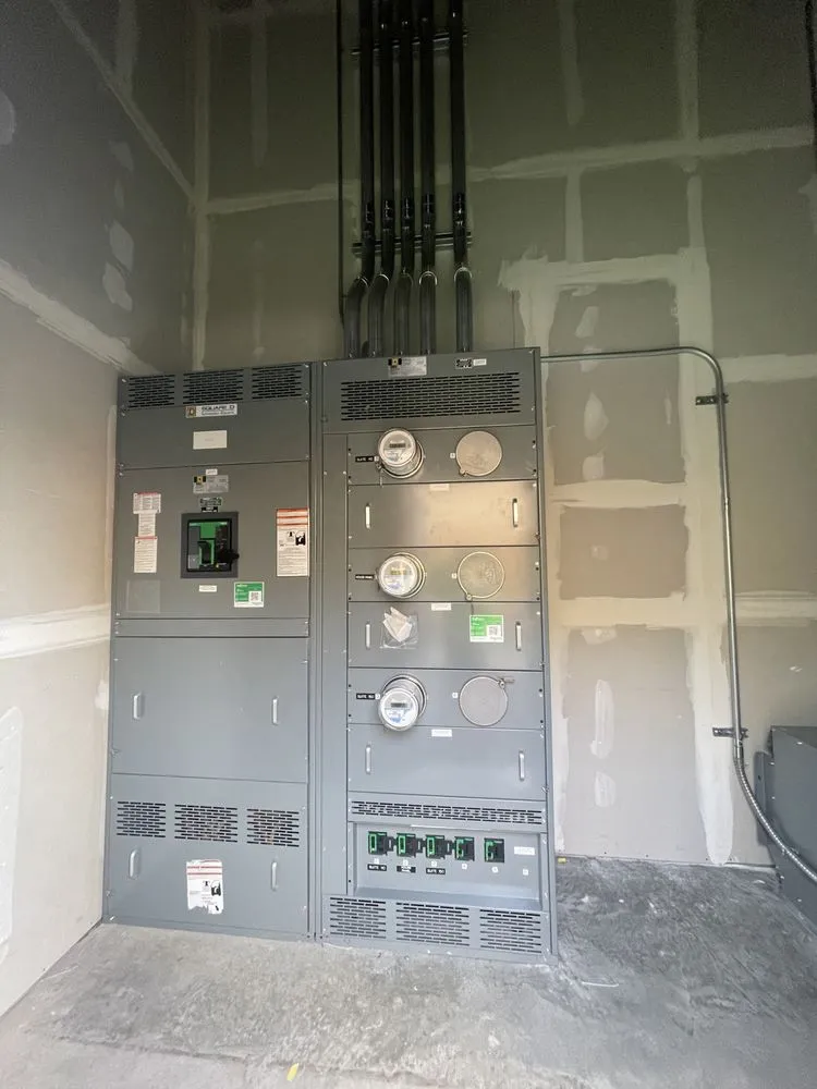 Slide of Puga’s Electric