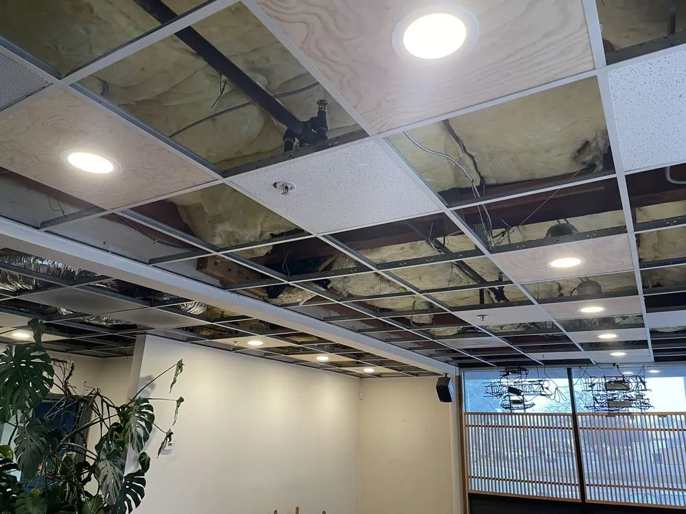 Slide of Puga’s Electric