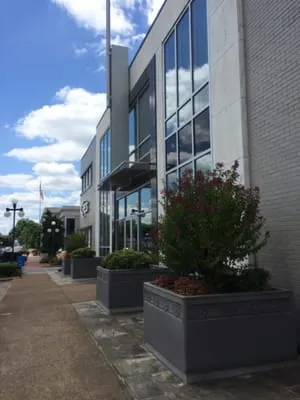 Pulaski Electric System