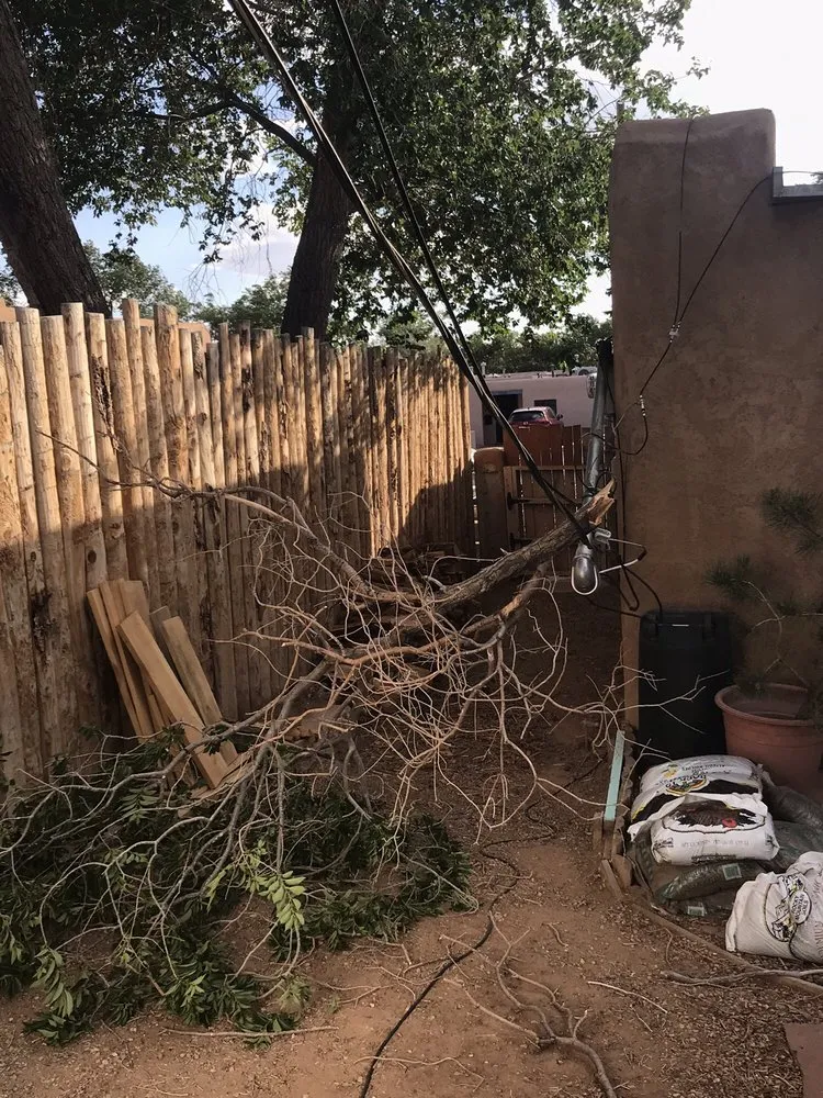 Slide of Pulsar Electric